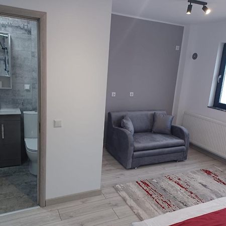 Aparthotel Oltului 加拉茨 外观 照片